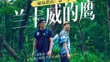 精灵格蕾