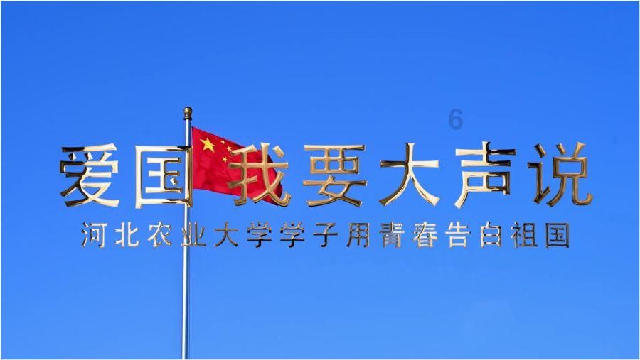 拯救机灵鸟